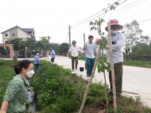 Hưng Tân trồng 200 cây cảnh dọc các tuyến đường trung tâm